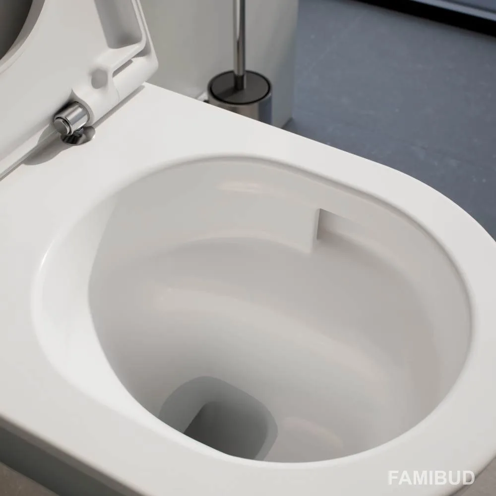 Pro X Rimless/Silent Flush підвісний унітаз в комплекті з сидінням slow closing, Білий, Laufen
