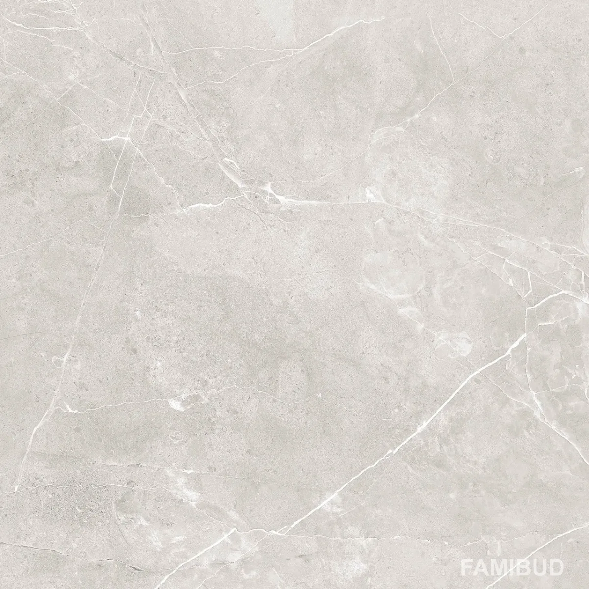 Плитка керамогранітна Sanaa Grey, 600×600, Raviraj Ceramics