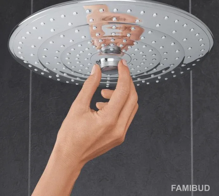 Верхній душ Euphoria 260 26461000, Grohe