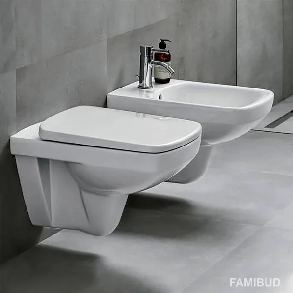 Унітаз підвісний воронкоподібний з кришкою soft-close Selnova Square 501.961.00.1, Geberit