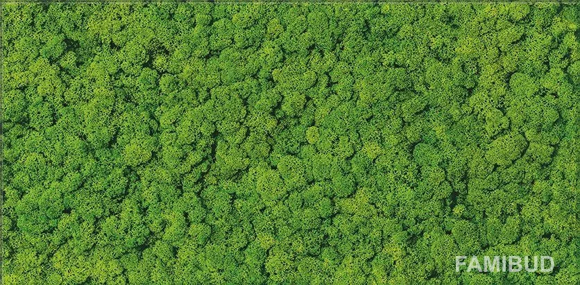 Декор Moss Glass Rect, 300×600, Ceramika Color
