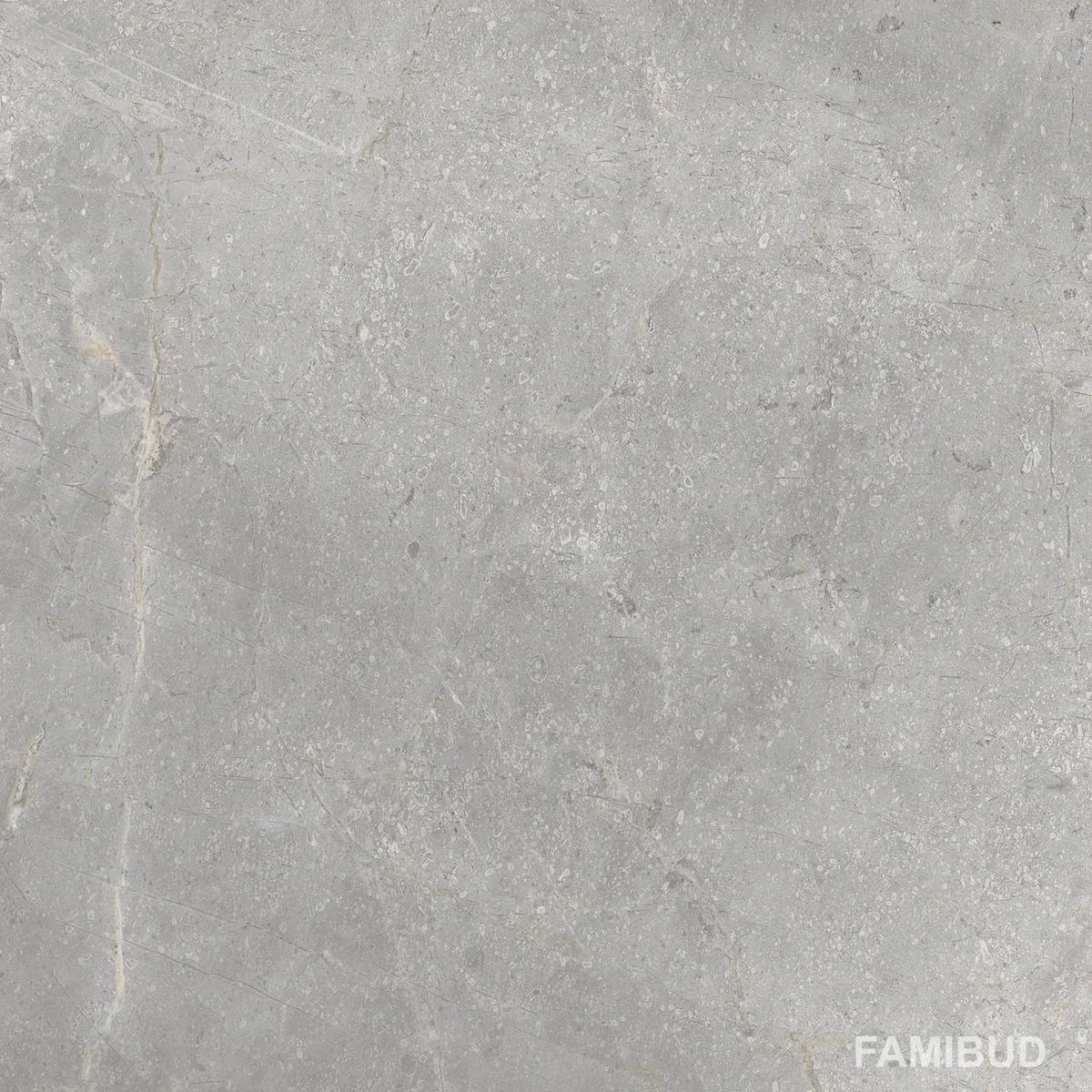 Плитка керамогранітна Masterstone Silver ×8