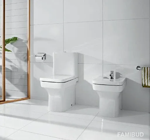 Кришка для унітаза Dama-N soft-close A80178C004, Roca