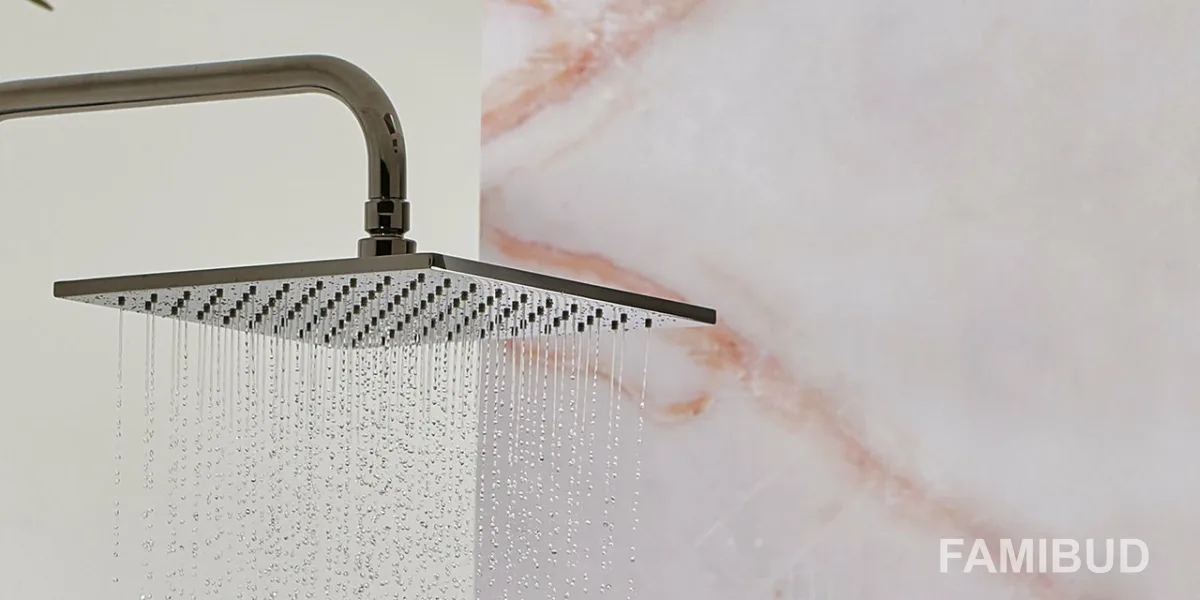 Верхній душ Wellness F2620-2CR, Fima