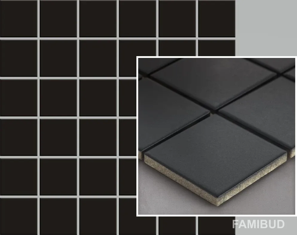 Мозаїка Albir Nero 298×298×6,4,8×4,8, Paradyz