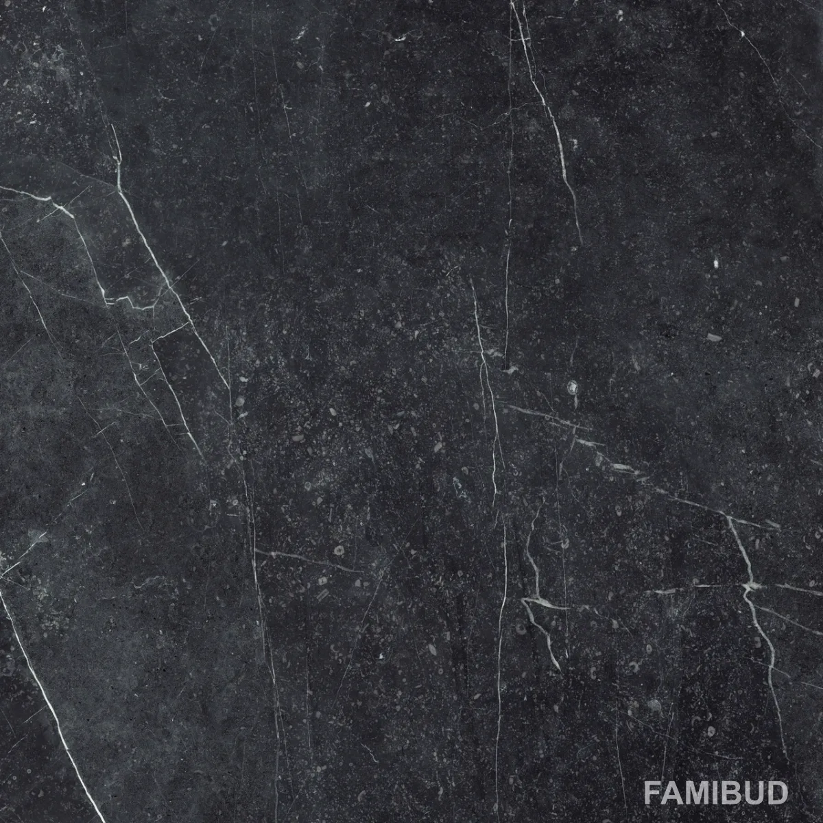 Плитка підлогова Barro Nero Szkl Rect, 59,8×59,8, 598×598, Paradyz