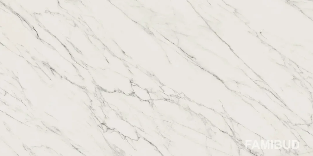 Плитка керамогранітна Elite White RECT POL 598×1198 Paradyz