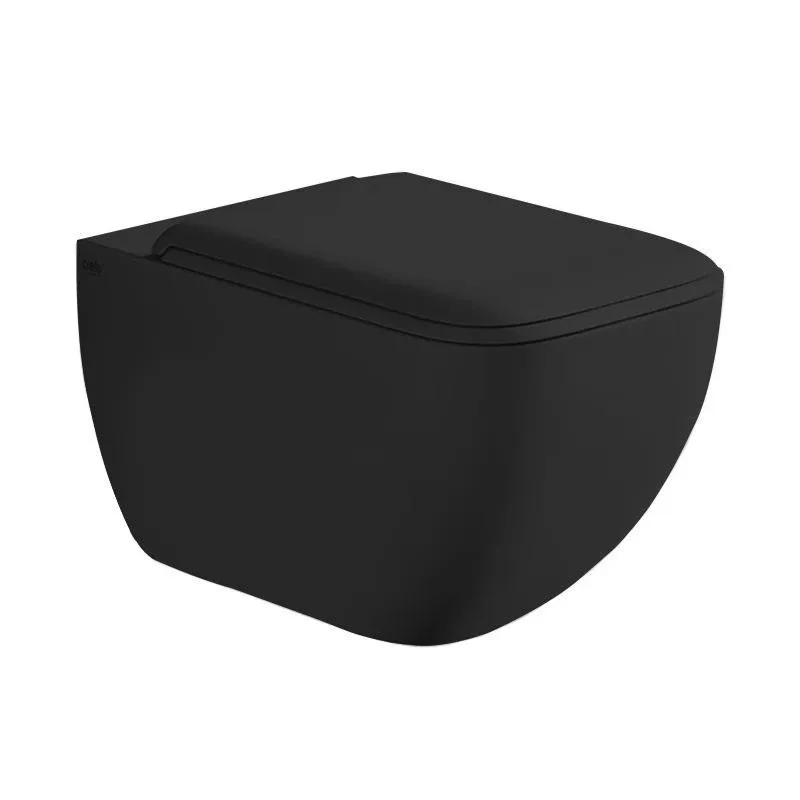 Унітаз підвісний Shui Comfort Lavagna з кришкою soft close, Cielo