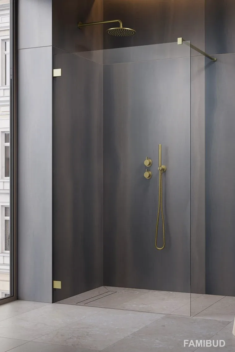 Душова перегородка Essenza Pro Walk-in прозоре, Radaway