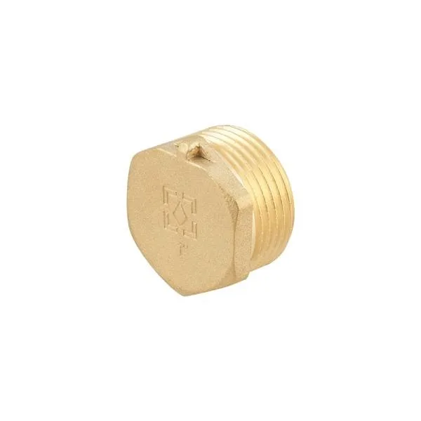 Заглушка Raftec GOLD під пломбу НН 1"