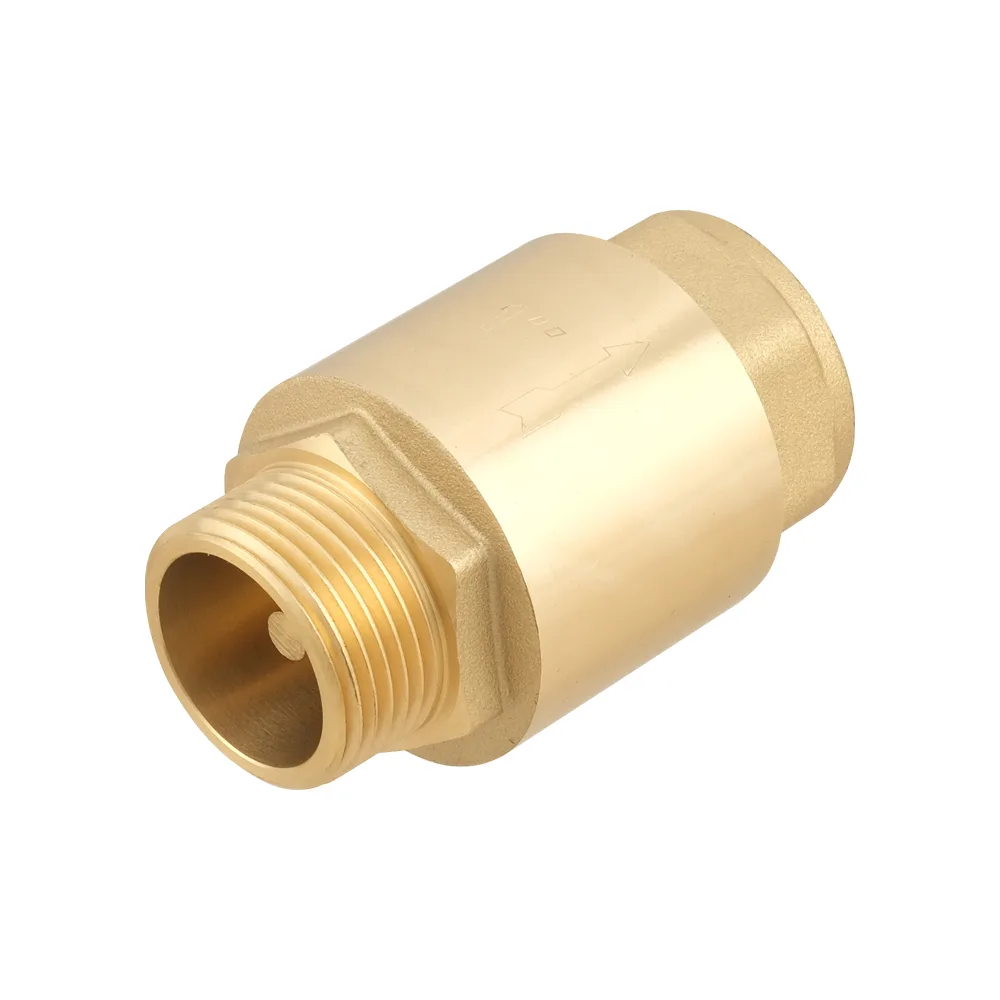 Клапан зворотнього ходу Raftec EUROPE DN25 1" NRVM03