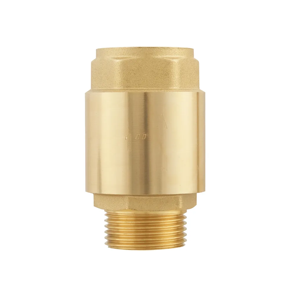 Клапан зворотнього ходу Raftec EUROPE DN25 1" NRVM03