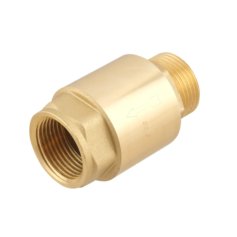 Клапан зворотнього ходу Raftec EUROPE DN25 1" NRVM03