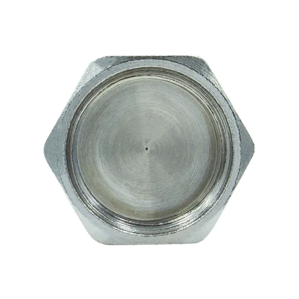 Заглушка Raftec PN40 ВВ 3/4" ZV02
