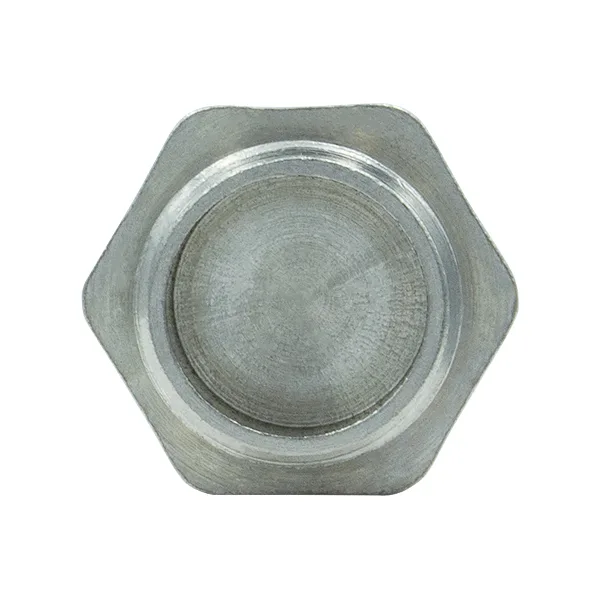 Заглушка Raftec PN40 ЗЗ 1" ZN03