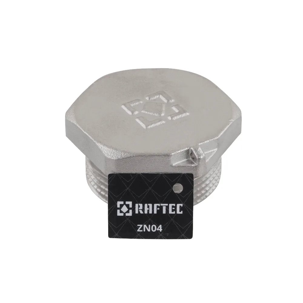 Заглушка Raftec PN40 ЗЗ 1 1/4" ZN04