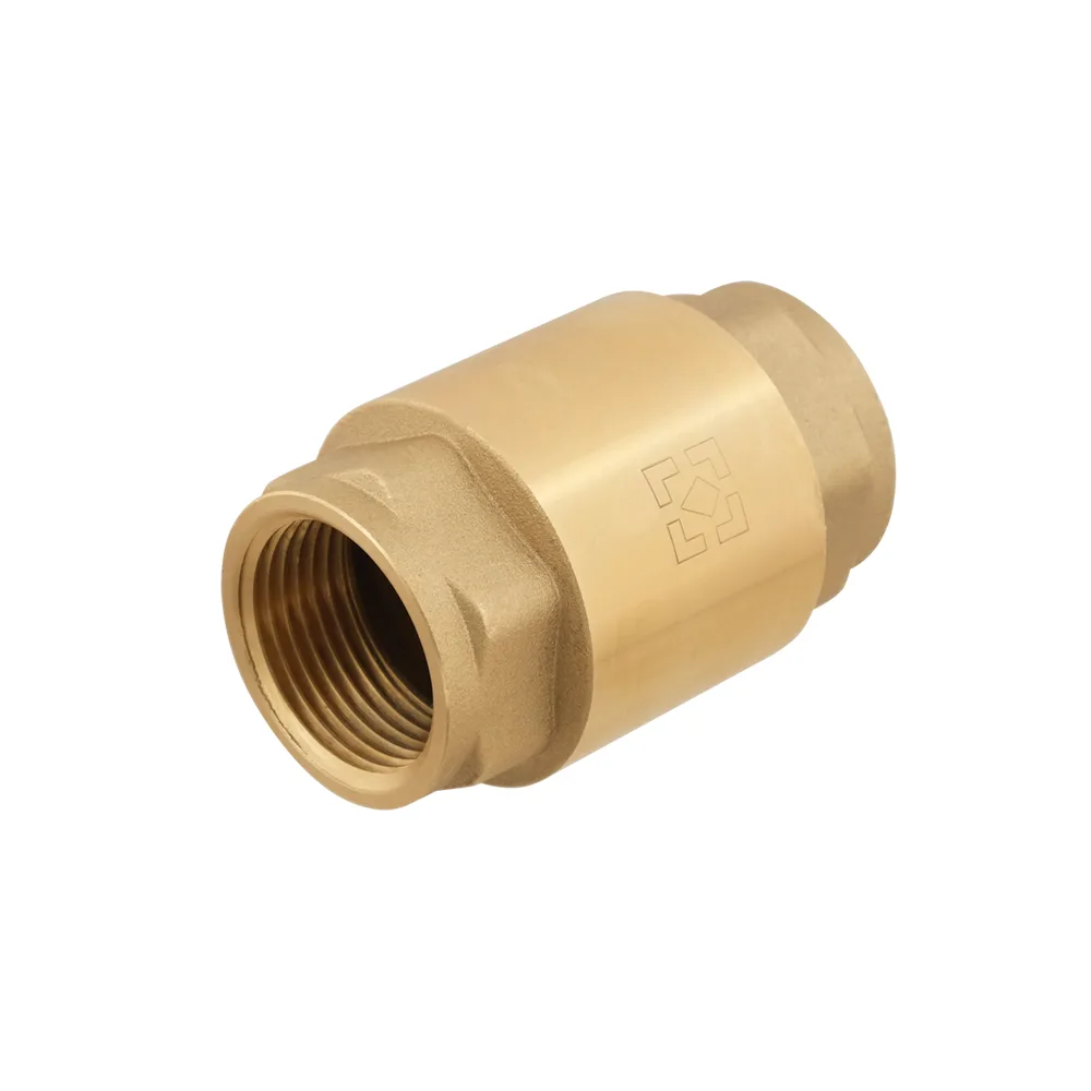 Зворотний клапан для води Raftec EUROPE DN25 1" NRVF03