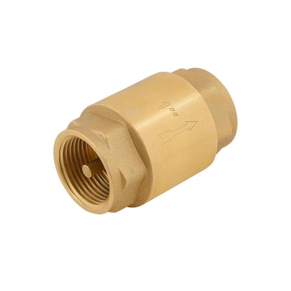 Зворотний клапан для води Raftec EUROPE DN25 1" NRVF03