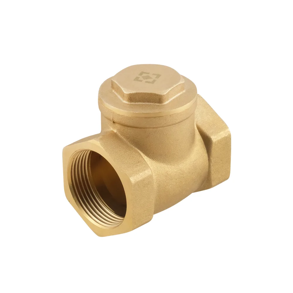 Зворотний клапан пелюстковий Raftec ВВ 1 1/4"
