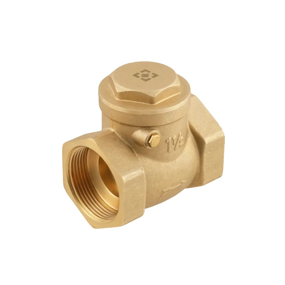 Зворотний клапан пелюстковий Raftec ВВ 1 1/2"