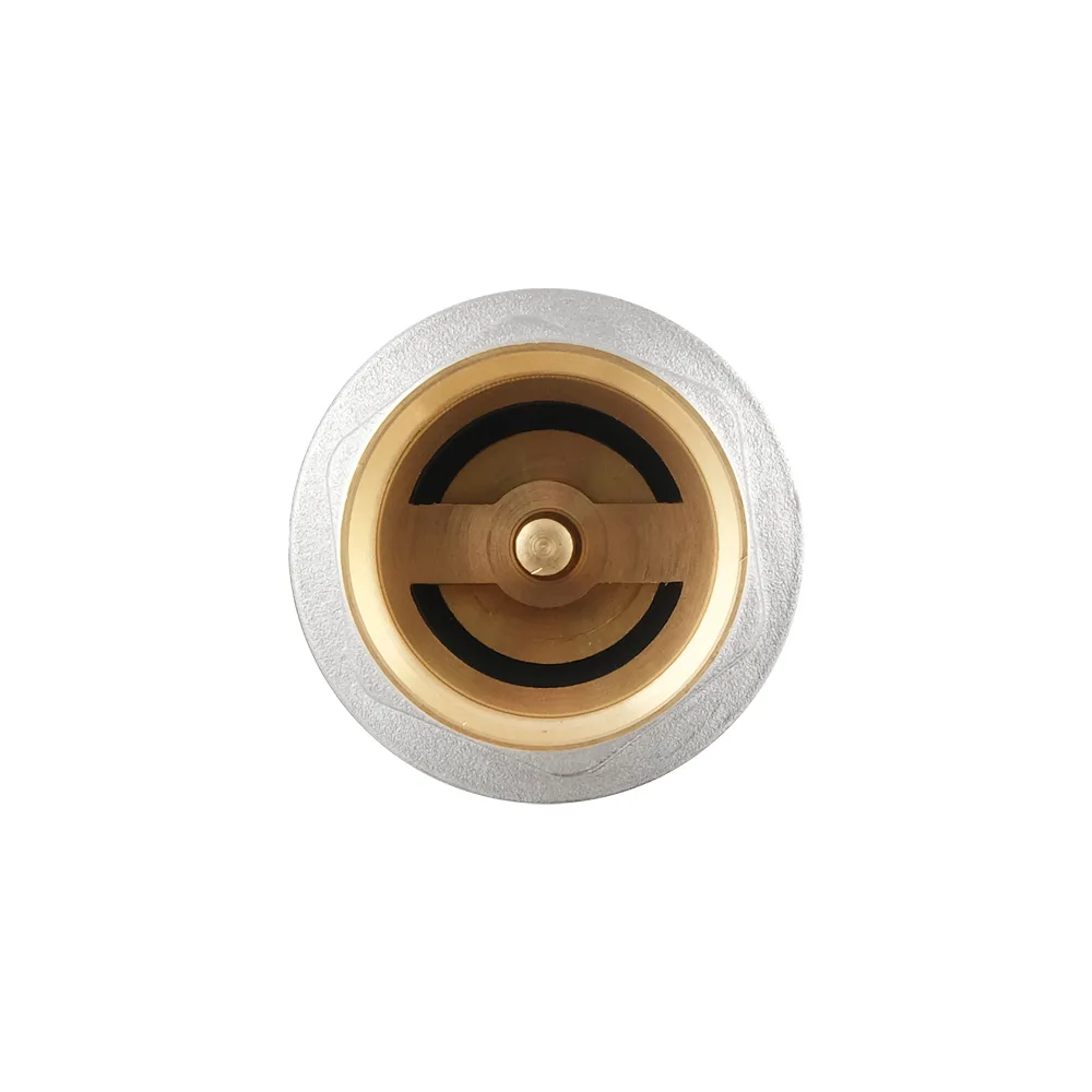 Зворотний клапан для води PLM 3/4" PNCV03